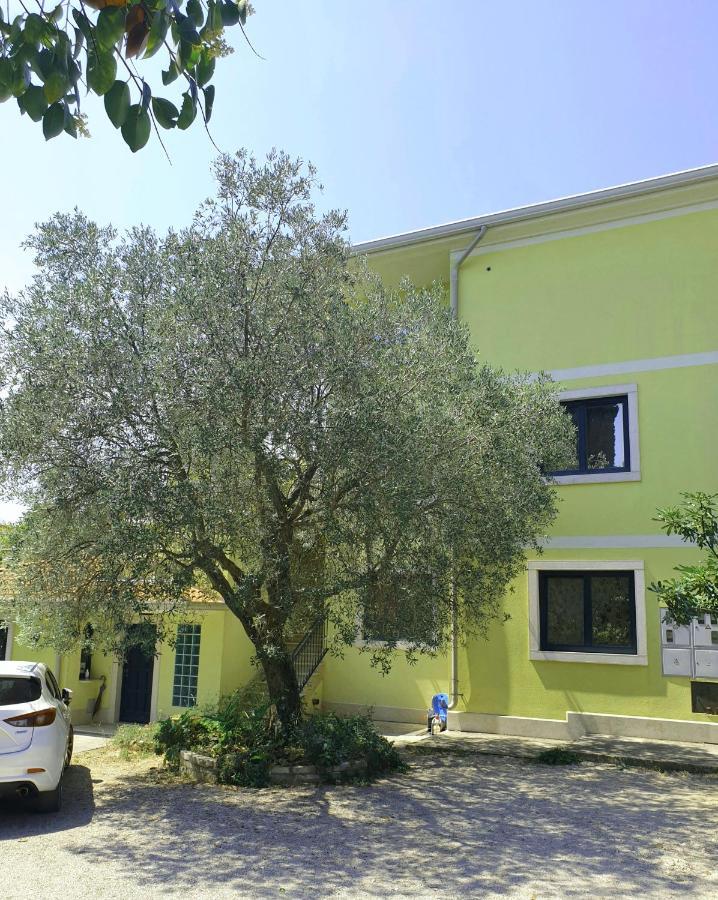 Apartments Adri, Parking In The Yard 로비니 외부 사진
